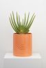 Large Etch Planter | Vases & Vessels by Capra Designs