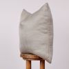 Silver Silk Decorative Pillow 22x22 | Pillows by Vantage Design