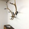 Elk Antler Wall Mounts | Wall Sculpture in Wall Hangings by Farmhaus + Co.. Item made of wood with copper