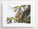 Lost in the Trees | Photography by She Hit Pause. Item made of paper
