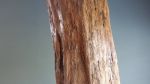 Driftwood Sculpture "Alphorn" with Marble Base | Sculptures by Sculptured By Nature  By John Walker. Item made of wood works with minimalism style