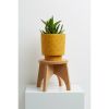 Cork Plant Stand | Plants & Landscape by Capra Designs