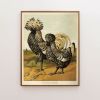 Rooster Art, Vintage Chicken Art, Vintage Rooster Art | Prints by Capricorn Press. Item composed of paper compatible with boho and minimalism style