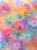 "The Florals" Pastel Composites Nos. 1-2-3-4 | Photography by Joanie Landau