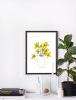Daffodils Art Print, Welsh Gift, Yellow Floral Drawing | Prints by Carissa Tanton. Item composed of paper