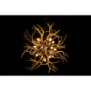Alan Mizrahi KA1900 Lucite Antlers | Chandeliers by Alan Mizrahi Lighting Design