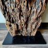 Art Sculpture Tree Trunk Section Archaic Ingrained Arrowhead | Sculptures by Sculptured By Nature  By John Walker. Item composed of wood in minimalism style