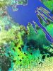 Idaho Springs | Oil And Acrylic Painting in Paintings by Carolyn McGlennon. Item made of canvas compatible with contemporary and eclectic & maximalism style