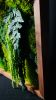 Biophilic Design Walnut Moss Wall | Decorative Frame in Decorative Objects by Moss Art Installations