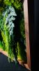 Biophilic Design Walnut Moss Wall | Decorative Frame in Decorative Objects by Moss Art Installations