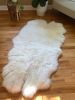 Plush Quad (4-Pelt) Ivory Sheepskin | Area Rug in Rugs by East Perry. Item composed of wool and fiber