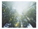 Tilting Our Heads Upwards, We Found Another World | Photography by She Hit Pause. Item composed of paper