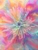 "The Florals" Pastel Composites Nos. 1-2-3-4 | Photography by Joanie Landau