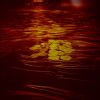 Pond Lilies 12x 42inches | Photography by Eric Farache Artist