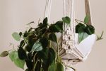 Summer Goals Plant Hanger - Premade! | Plants & Landscape by Modern Macramé by Emily Katz. Item made of cotton with leather