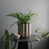 Wrap Planter - 4 sizes | Vases & Vessels by Misewell