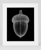 EXPOSED AUTUMN — ACORN | Decorative Objects by Exposedart