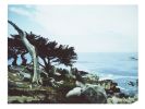 She Claimed This View Her Favorite (California) | Photography by She Hit Pause. Item composed of paper