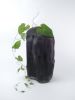 Woodland Vase | Decorative Objects by Esque Studio