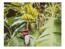 Watching bananas sleep | Photography by She Hit Pause. Item composed of paper