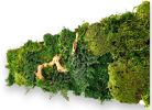 Plant Wall Art Moss and Fern Sculpture, Dimensional Painting | Living Wall in Plants & Landscape by Sarah Montgomery