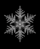 EXPOSED WINTER — SNOWFLAKE | Decorative Objects by Exposedart