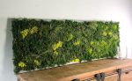 Living Moss Wall Art Dimensional Painting, Moss and Fern | Living Wall in Plants & Landscape by Sarah Montgomery