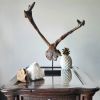 Driftwood Art Sculpture "Jackalope" | Sculptures by Sculptured By Nature  By John Walker. Item made of wood compatible with minimalism style