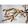Alan Mizrahi DV3953 Almond | Chandeliers by Alan Mizrahi Lighting Design