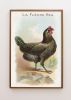 Vintage White Hen Rooster Art, Vintage Chicken Art, Vintage | Prints in Paintings by Capricorn Press. Item composed of paper compatible with boho and minimalism style