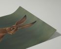 The Hare - Green Edition | Prints by The Ugly Cat Studio