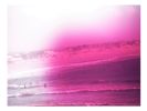 Through Colored Glass | Photography by She Hit Pause. Item made of paper