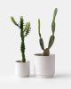 Kolo Planter - 2 sizes | Vases & Vessels by Misewell