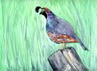 Quirky Fellow | Prints by Brazen Edwards Artist. Item made of canvas & paper