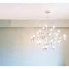 SL0201 Crown Major | Chandeliers by Alan M