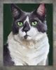 Tuxedo Cat Art Print, Cheerful Whiskered Feline Wall Art, Living Room Painting | Prints in Paintings by The Ugly Cat Studio