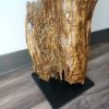 Driftwood Sculpture Art Object "Flapping Away" | Sculptures by Sculptured By Nature  By John Walker. Item composed of wood in minimalism style