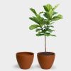 Kent 48 Large Planter | Vases & Vessels by Greenery Unlimited