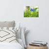 Asiatic Dayflower Floral Nature Photo Wall Art Print | Photography by PIPA Designs