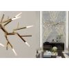 Alan Mizrahi WM2088 Acropora | Chandeliers by Alan Mizrahi Lighting Design