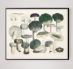 Mushroom Decor, Cool Earth Tone Mushroom Art Print, Kitchen | Prints by Capricorn Press. Item composed of paper in boho or minimalism style