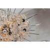 KA1841 Crystal Sputnik | Chandeliers by Alan M