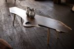 Live Edge Walnut Slab Coffee Table Turned Legs Cahaba Table | Tables by Alabama Sawyer. Item composed of walnut