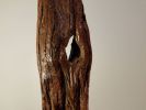 Driftwood Sculpture "Eye Opener" with Marble Base | Sculptures by Sculptured By Nature  By John Walker. Item composed of wood compatible with minimalism style