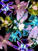 Orchid You Not - 6 Versions | Photography by Joanie Landau