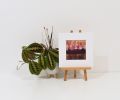 Low Sun | Oil And Acrylic Painting in Paintings by Lisa Carney