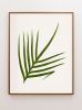 Fern Print Set, Fern Prints set of 6 or 8 fern prints | Prints by Capricorn Press. Item composed of paper in boho or country & farmhouse style