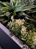 Artificial Plant Wall | Decorative Frame in Decorative Objects by Moss Art Installations