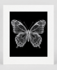 EXPOSED 002 — BUTTERFLY | Decorative Objects by Exposedart