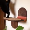 Cat Shelves : Wall Mounted Floating Cat Steps With Scratcher | Shelving in Storage by Spacecraft Furnishing